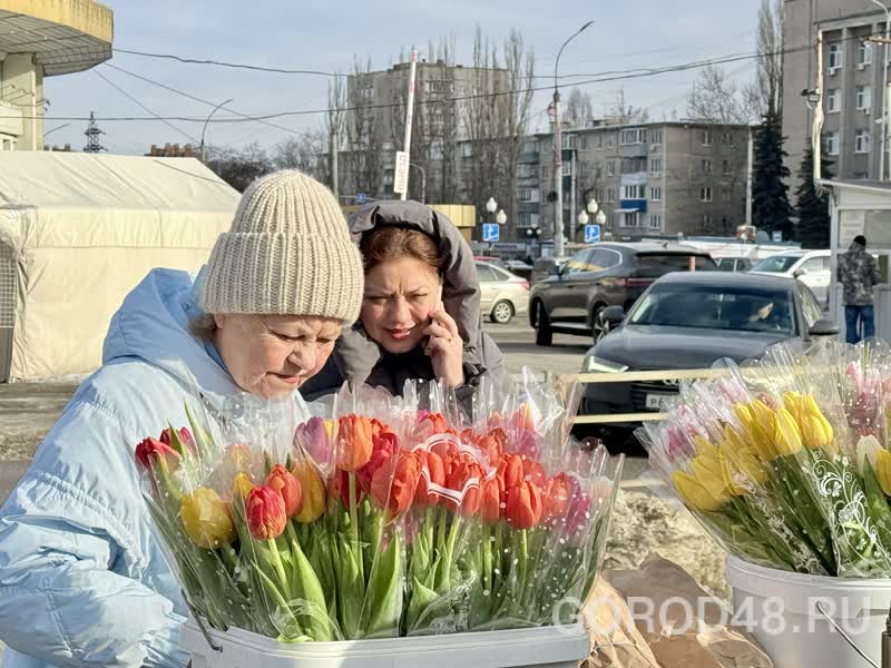 IMG_0236.jpeg+2026-03-04-10.12.34+niz.jpg IMG_0236.jpeg+2026-03-04-10.12.34+niz.jpg