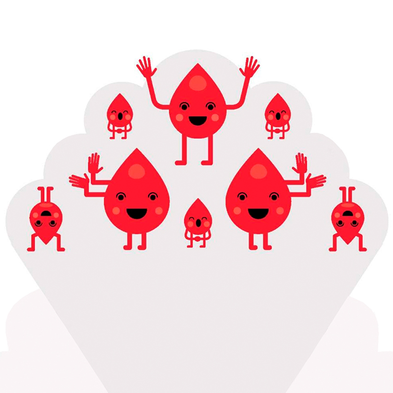 2019_1511_krov_banner_800x800 (1).jpg