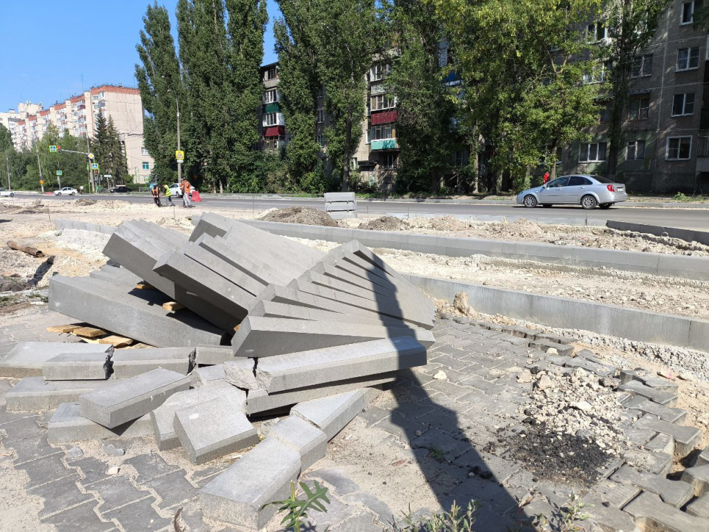 Если мы за пять лет посадим тысячи деревьев, можно будет сказать, что это  время прожито не зря!»