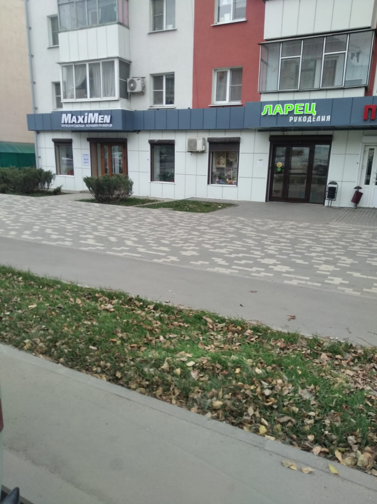 собака3.jpg