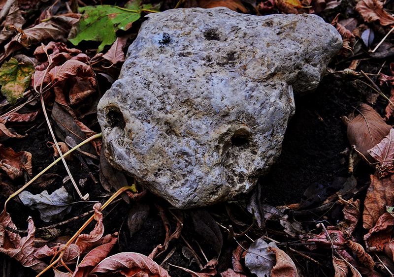 камень инопланетянин в гусаревом лесу.jpg