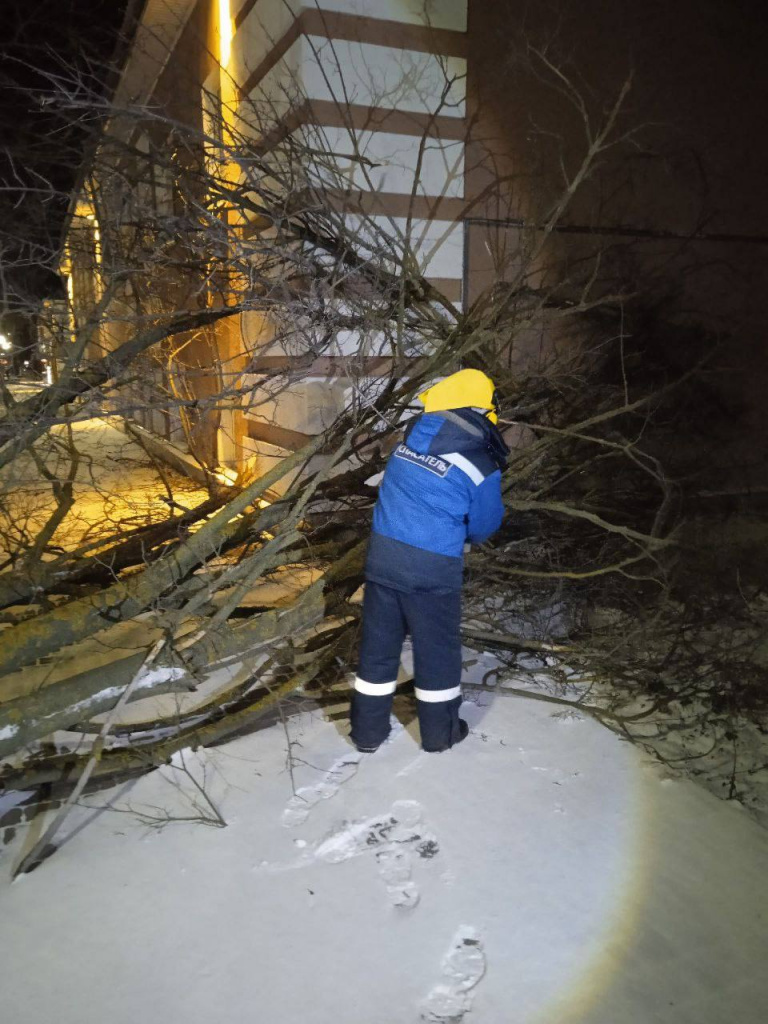 photo_2025-12-13_11-47-28.jpg photo_2025-12-13_11-47-28.jpg