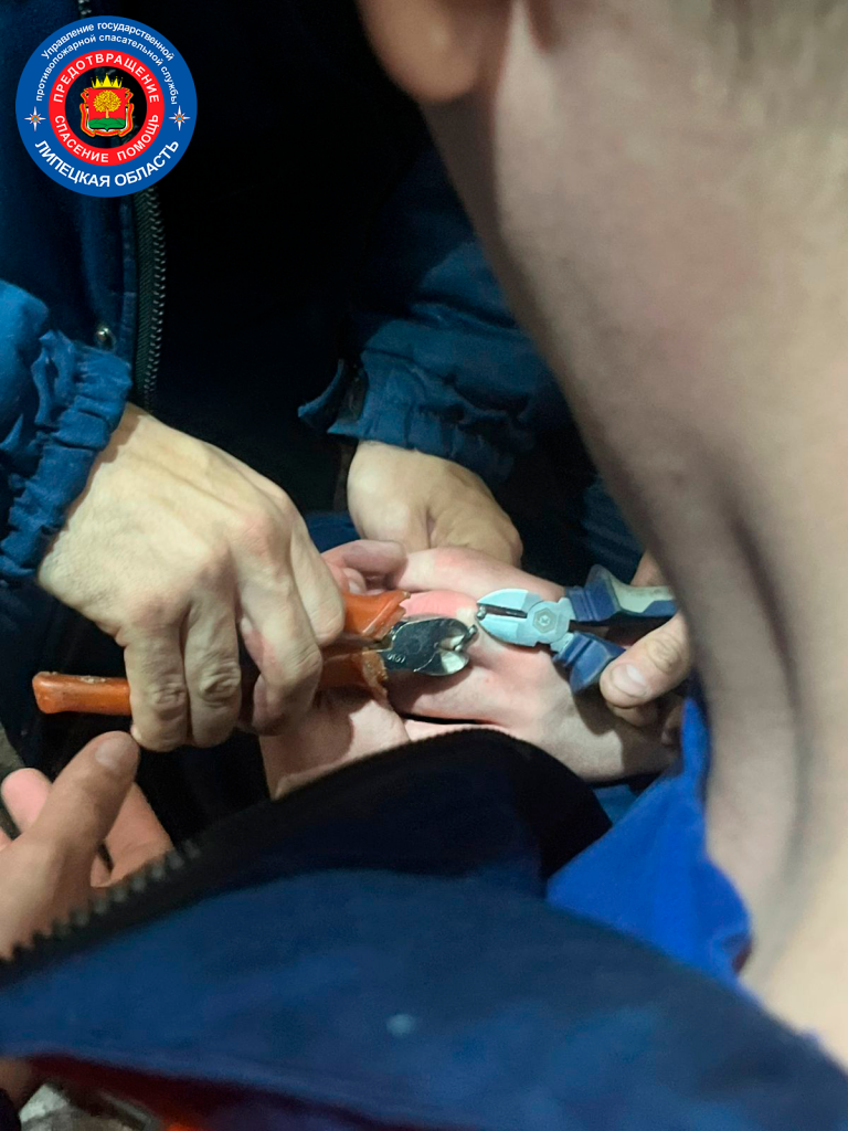 WhatsApp Image 2026-03-20 at 11.43.53.png WhatsApp Image 2026-03-20 at 11.43.53.png