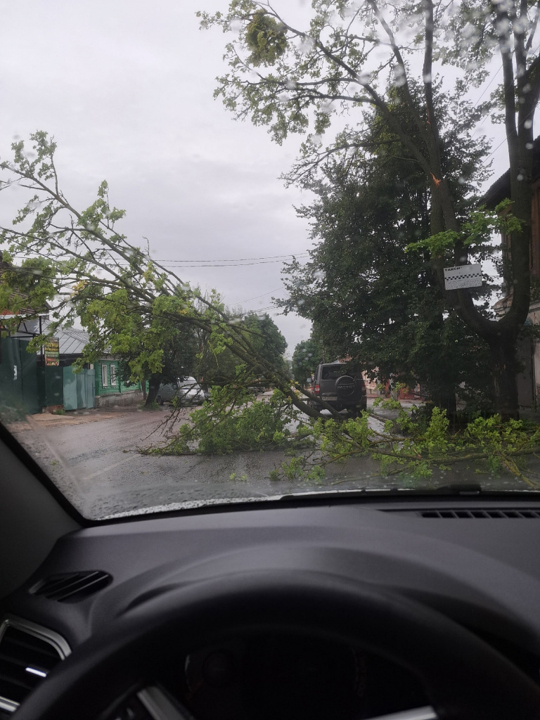 В Ельце ветер повалил деревья на 17 улицах