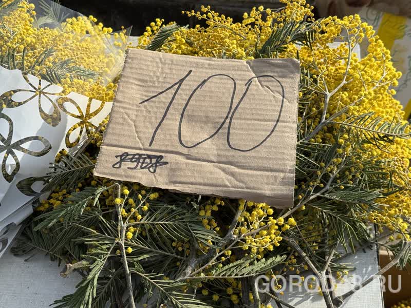 IMG_0261.jpeg+2026-03-04-10.12.34+niz.jpg IMG_0261.jpeg+2026-03-04-10.12.34+niz.jpg