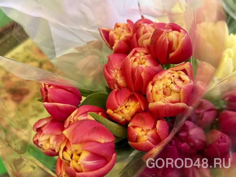 IMG_0251.jpeg+2026-03-04-10.12.34+niz.jpg IMG_0251.jpeg+2026-03-04-10.12.34+niz.jpg