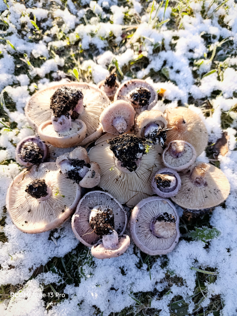 eqSDyxKY933iNVfxz3BviyL8jZJWOk7X5U8z9ZoI9GEuJpUme_e_THnHTc2UyGB9pUUjJirAs_PaAIykw9teToYG.jpg eqSDyxKY933iNVfxz3BviyL8jZJWOk7X5U8z9ZoI9GEuJpUme_e_THnHTc2UyGB9pUUjJirAs_PaAIykw9teToYG.jpg