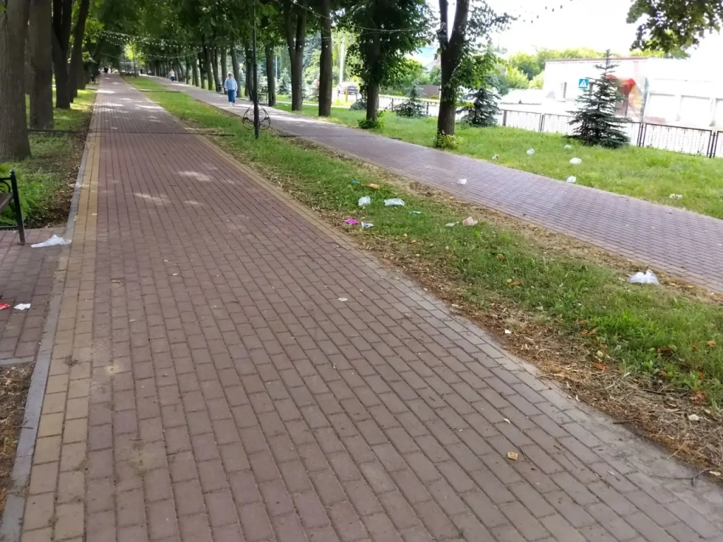 46B9CCBB-E664-4F3C-81DC-F097A1458A37.webp