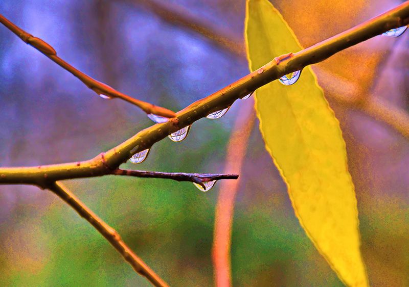 DSC_056312.jpg