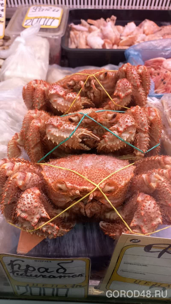 WhatsApp Image 2025-11-28 at 10.25.23.jpeg2025-11-28-10.29.04niz.jpg