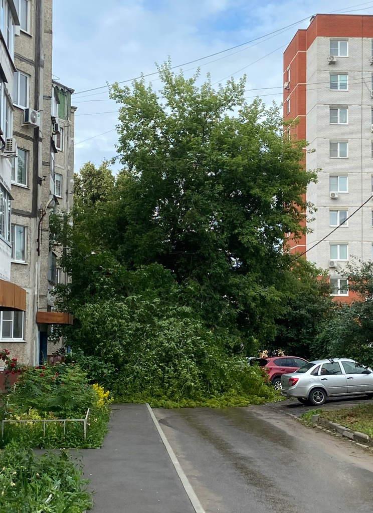 й3.jpg й3.jpg