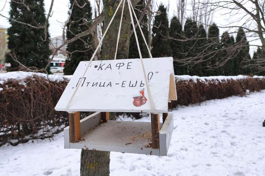 WhatsApp Image 2021-01-11 at 13.56.02.jpeg