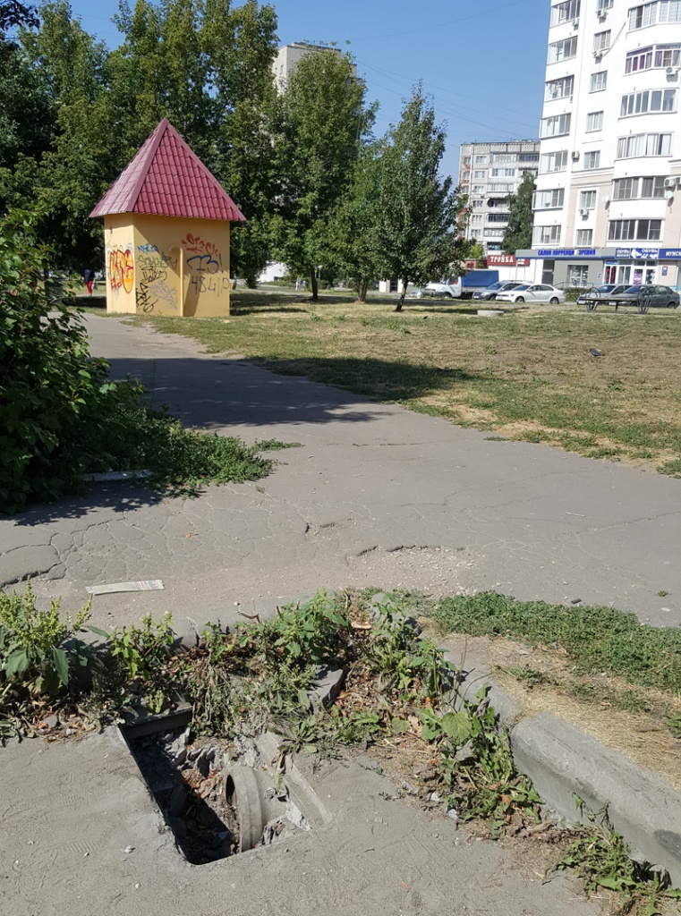 20180825_133806.jpg