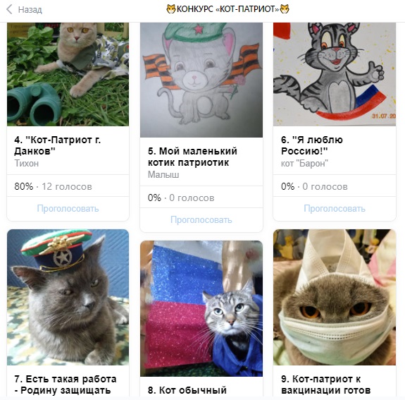 кот2.jpg кот2.jpg