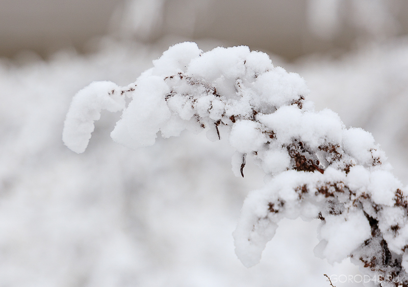 IMG_8532.jpg IMG_8532.jpg