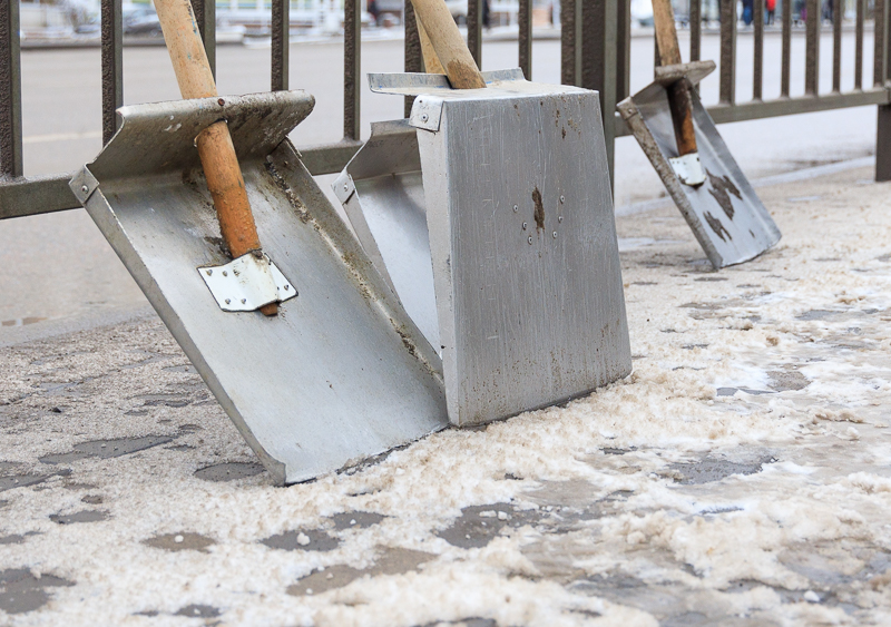 IMG_8594.jpg IMG_8594.jpg