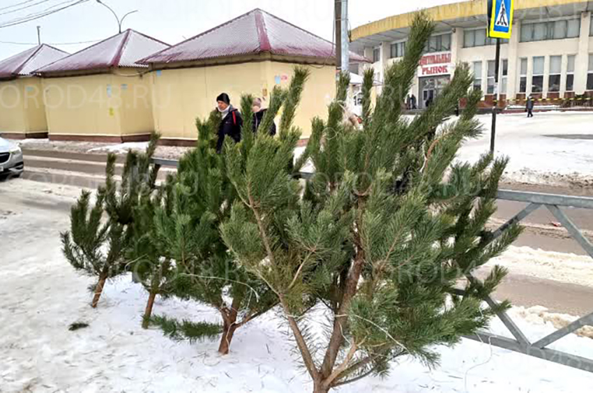 a3a246586b9b097350d2e058229517e7.jpg a3a246586b9b097350d2e058229517e7.jpg