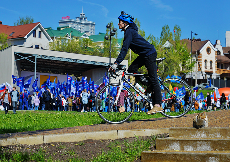 DSC_81141.JPG