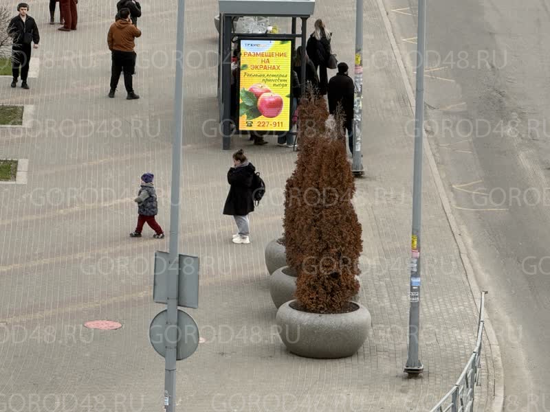 IMG_2285.jpeg+2026-04-06-16.55.04.jpg IMG_2285.jpeg+2026-04-06-16.55.04.jpg