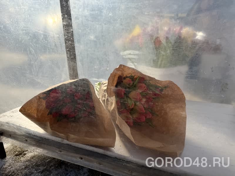 IMG_0227.jpeg+2026-03-04-10.12.34+niz.jpg IMG_0227.jpeg+2026-03-04-10.12.34+niz.jpg