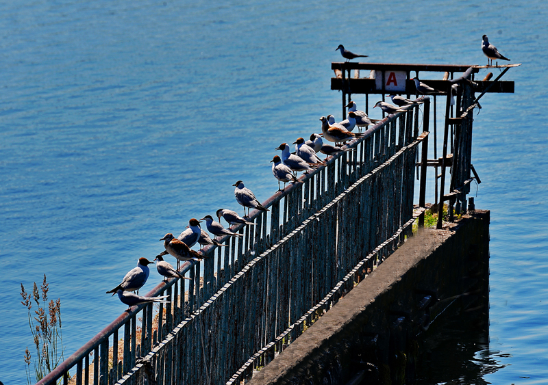 DSC_146612.jpg DSC_146612.jpg