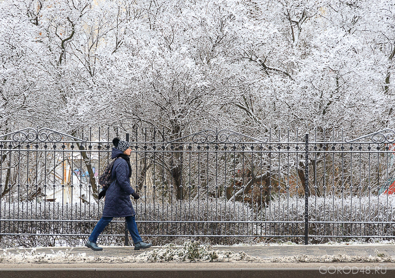 IMG_8599.jpg IMG_8599.jpg