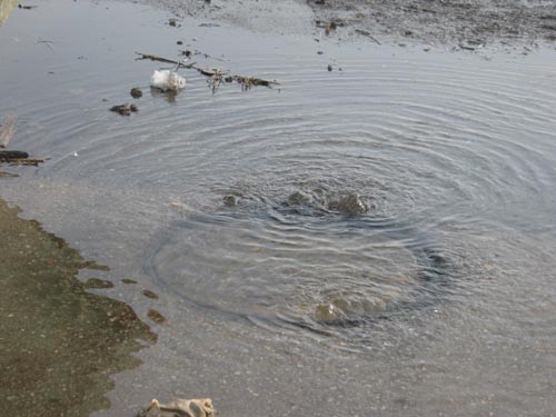 Вода подожди