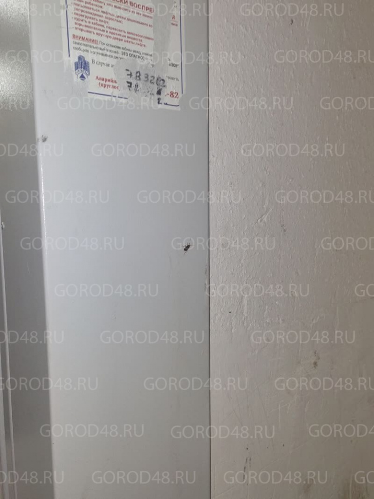 IMG_0770.jpeg+2025-10-29-09.51.34.jpg IMG_0770.jpeg+2025-10-29-09.51.34.jpg