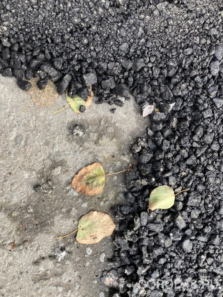 IMG_4252.jpeg+2025-10-15-16.17.34+niz.jpg IMG_4252.jpeg+2025-10-15-16.17.34+niz.jpg