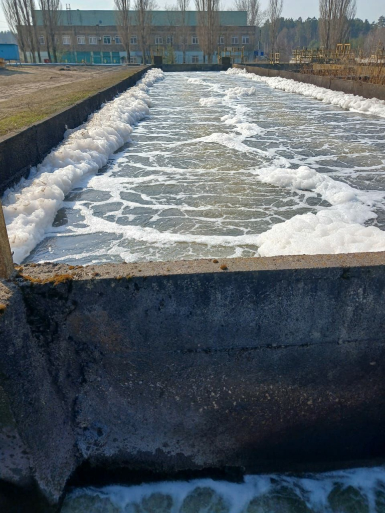 Реку Воронеж загрязняли сточными водами