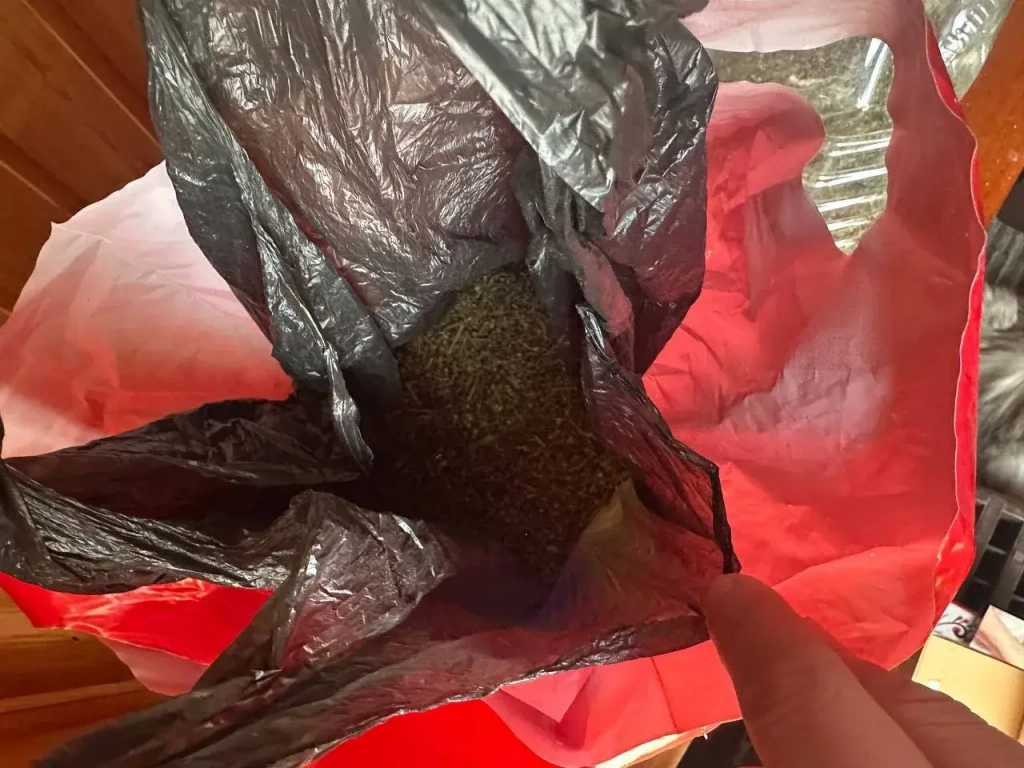 6AF0B51B-451A-4FE6-BEF5-7B6388F7A1DE.webp 6AF0B51B-451A-4FE6-BEF5-7B6388F7A1DE.webp