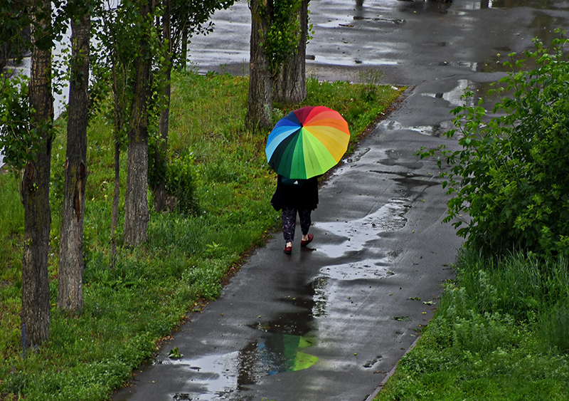 DSC_752712.jpg DSC_752712.jpg