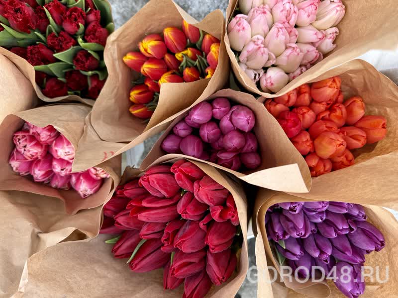 IMG_0214.jpeg+2026-03-04-10.12.34+niz.jpg IMG_0214.jpeg+2026-03-04-10.12.34+niz.jpg