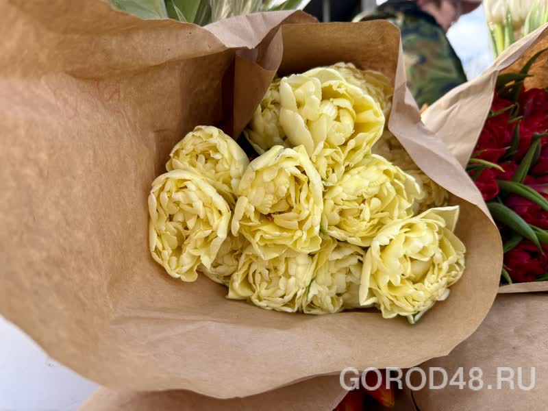 IMG_0228.jpeg+2026-03-04-10.12.34+niz.jpg IMG_0228.jpeg+2026-03-04-10.12.34+niz.jpg