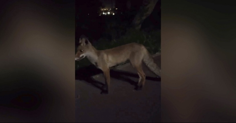 zsy6m6dkde6si7fxhytwgby9yfcl8gsg.jpg zsy6m6dkde6si7fxhytwgby9yfcl8gsg.jpg