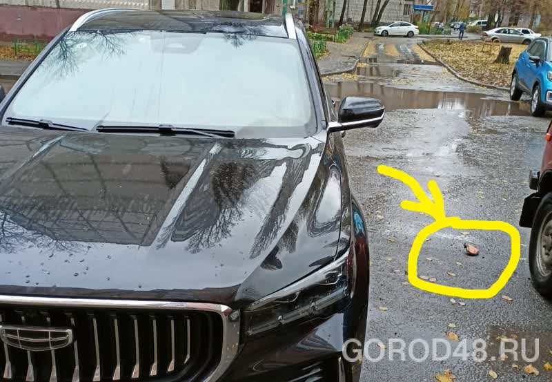 2629b942-2ae7-4732-88f2-4c76348aa823.jpg+2025-11-12-11.30.34+niz.jpg 2629b942-2ae7-4732-88f2-4c76348aa823.jpg+2025-11-12-11.30.34+niz.jpg