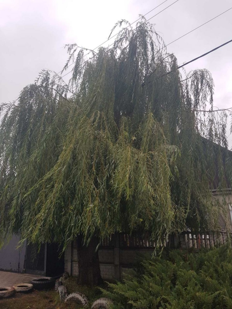 WhatsApp Image 2019-10-01 at 15.22.33.jpeg