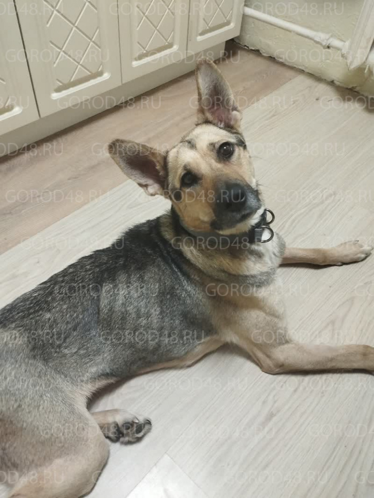 XPYWrVHJHqP5uXwiSf9lo2LbAnqqTDr6cr03cWTsEVnN6-tDzjsAq0yan7wcYpbHdn9Ask6Dk9FA_xXPaQ3UWwcO (1).jpg+2026-01-08-16.24.34.jpg