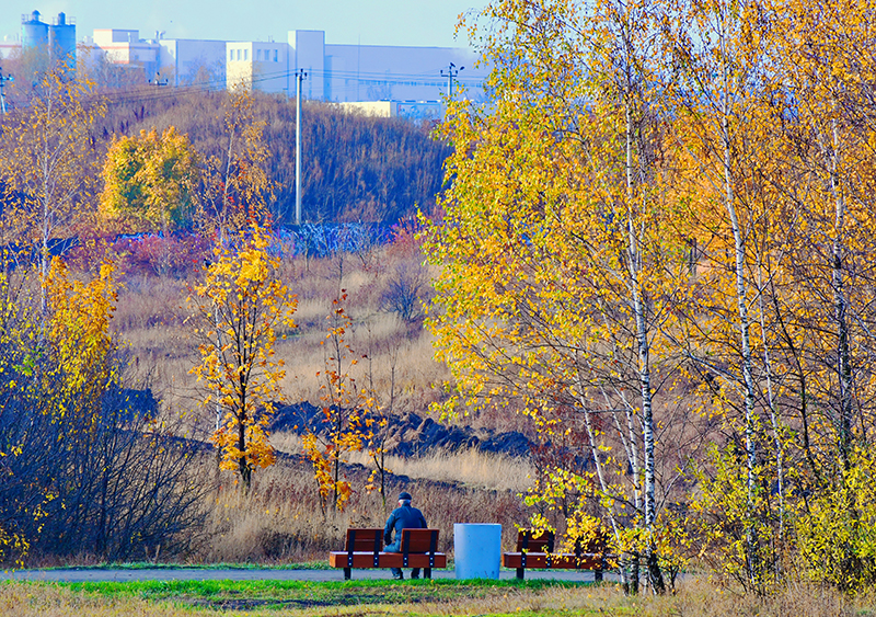 DSC_079712.jpg