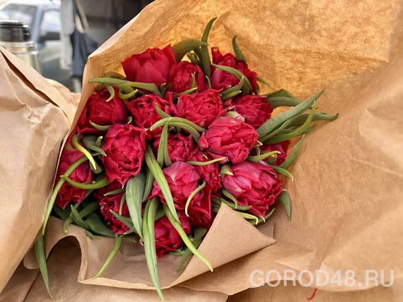 IMG_0230.jpeg+2026-03-04-10.12.34+niz.jpg IMG_0230.jpeg+2026-03-04-10.12.34+niz.jpg