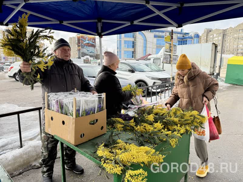 IMG_0193.jpeg+2026-03-04-10.12.34+niz.jpg IMG_0193.jpeg+2026-03-04-10.12.34+niz.jpg