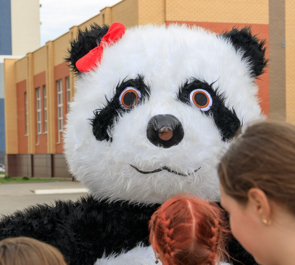 33039.jpg 33039.jpg