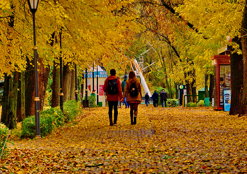 DSC0072212.jpg