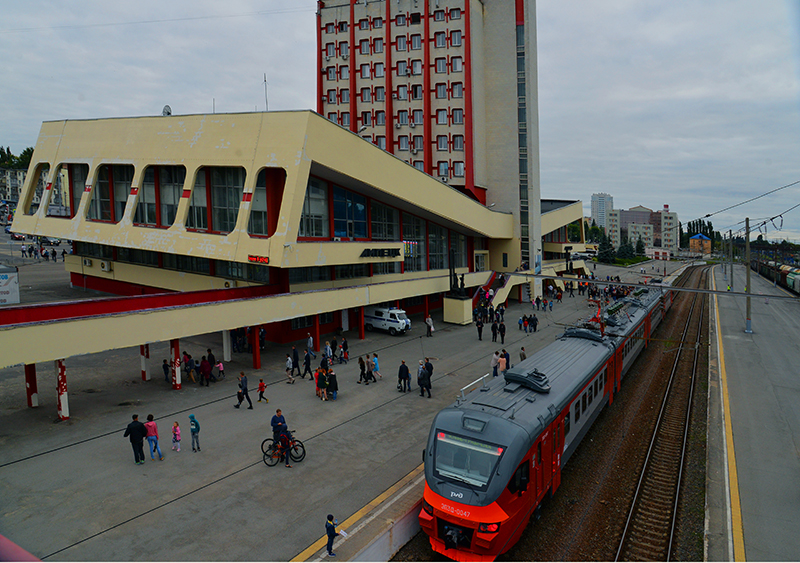 DSC_534812.jpg