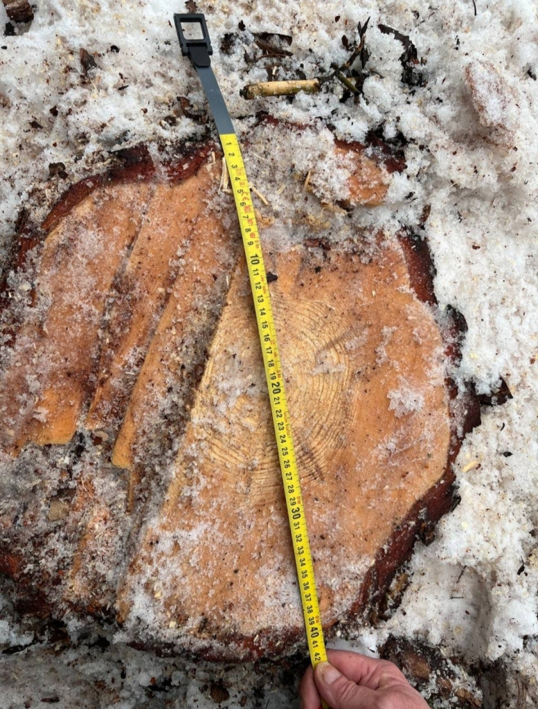 W1pDIGUVRz9lgw25xjSZKkPkPjeoe7puACDDJTJnaIawNbUP-n5_TFFdsY_5OytAIPPp09b46ttCAPGajTnnuSOr.jpg W1pDIGUVRz9lgw25xjSZKkPkPjeoe7puACDDJTJnaIawNbUP-n5_TFFdsY_5OytAIPPp09b46ttCAPGajTnnuSOr.jpg