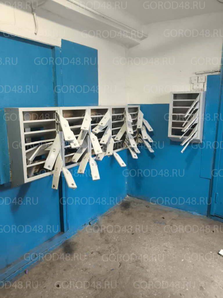 photo_2025-12-27_13-38-59 (2).jpg+2025-12-27-14.38.34.jpg