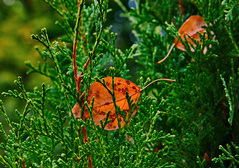 DSC_83821.jpg DSC_83821.jpg