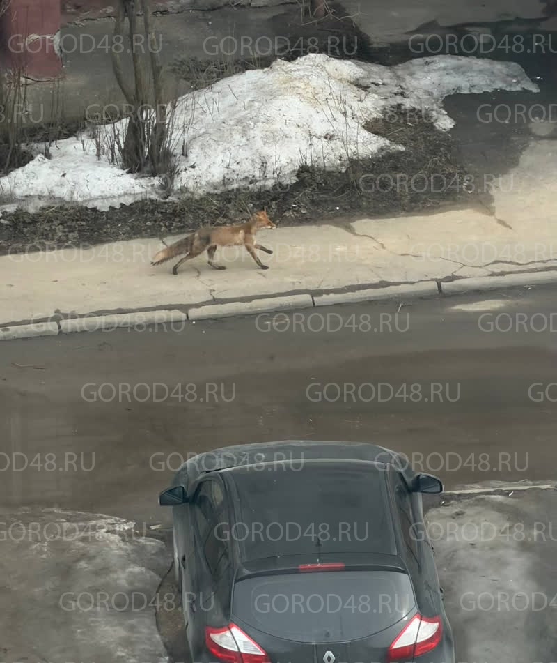 IMG_1218.png+2026-03-16-16.39.34.jpg IMG_1218.png+2026-03-16-16.39.34.jpg