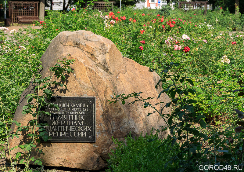 IMG_6442.jpg