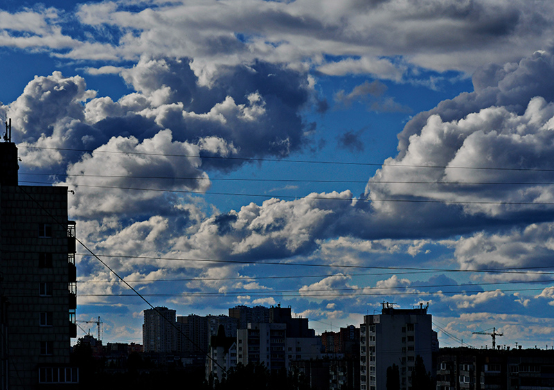 DSC_006212.jpg DSC_006212.jpg